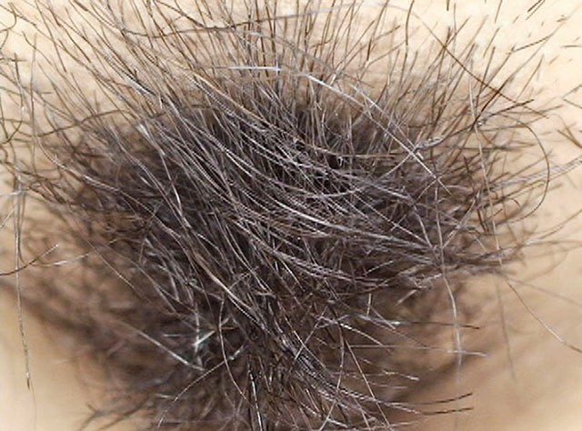 サンプル画像 9