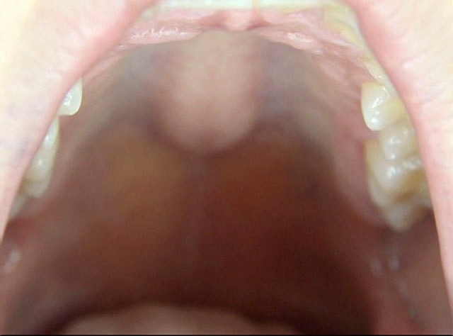 サンプル画像 2