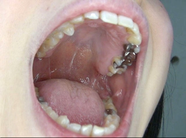 サンプル画像 11