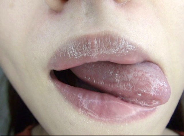 サンプル画像 12