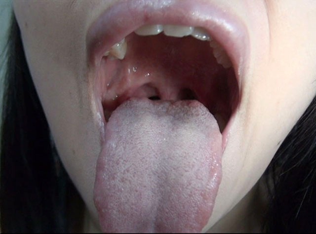 サンプル画像 13