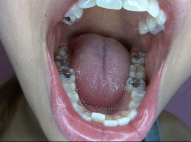 サンプル画像 14