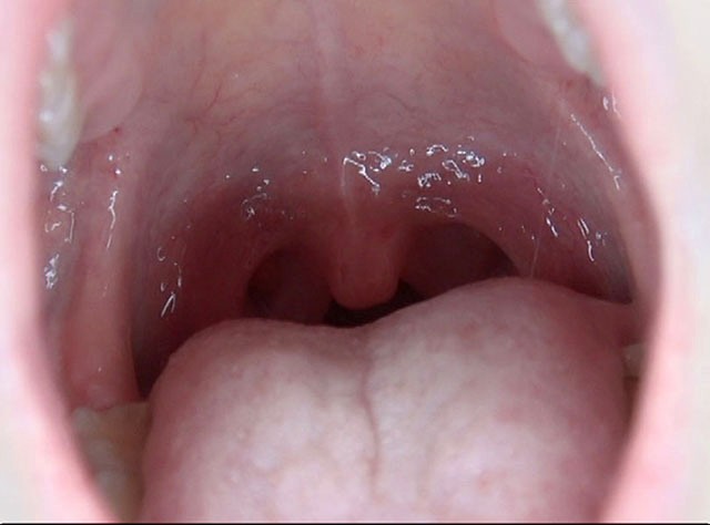 サンプル画像 20