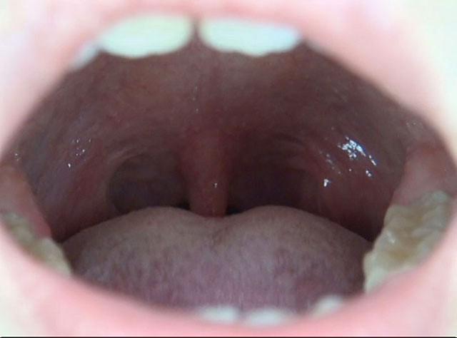 サンプル画像 5