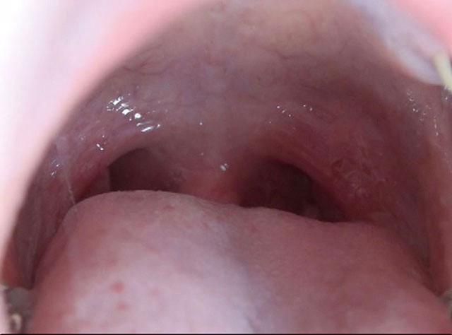 サンプル画像 6