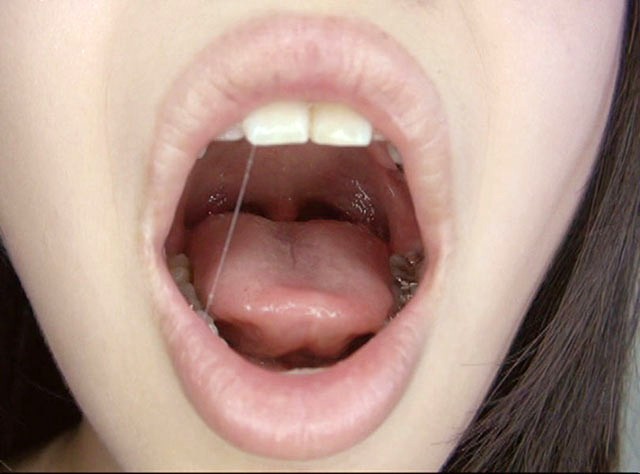 サンプル画像 7