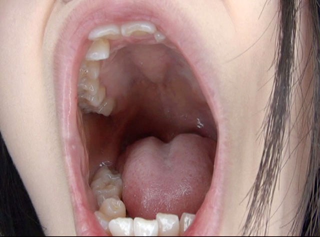 サンプル画像 8