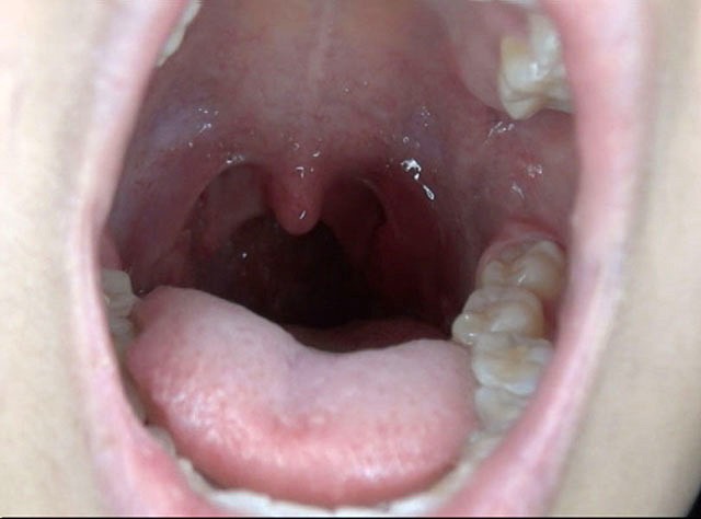 サンプル画像 10