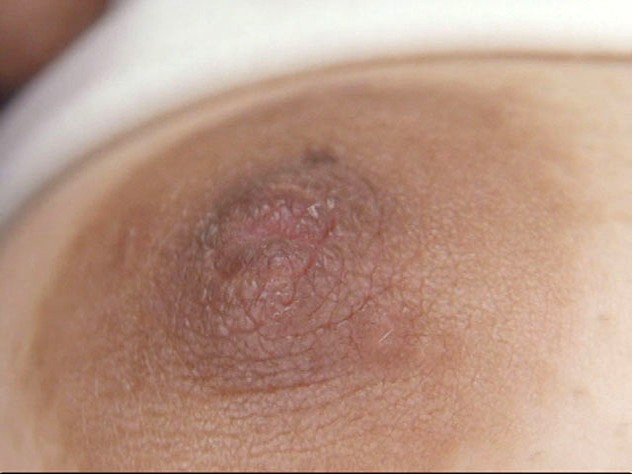 サンプル画像 11