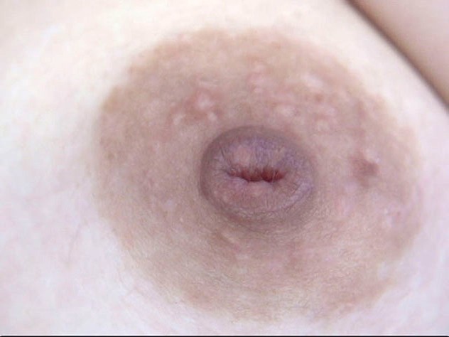 サンプル画像 14