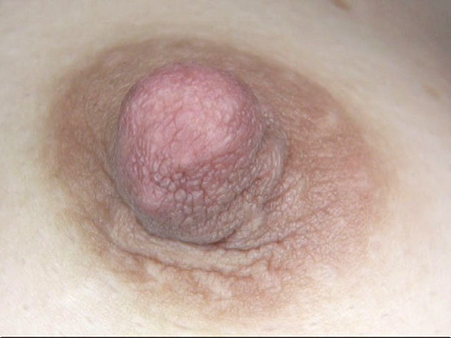 サンプル画像 15