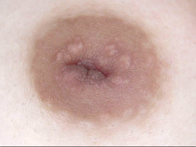 サンプル画像 17