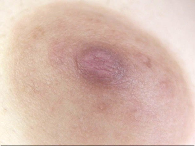 サンプル画像 19