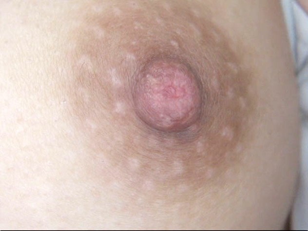 サンプル画像 21