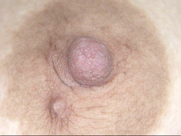 サンプル画像 4