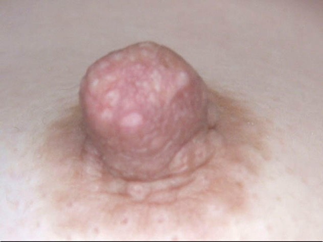 サンプル画像 5