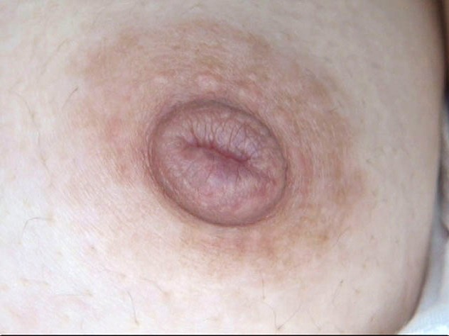 サンプル画像 8