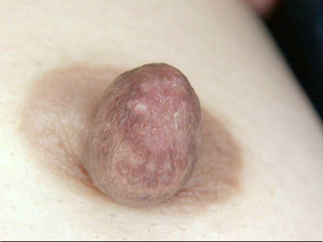 サンプル画像 9