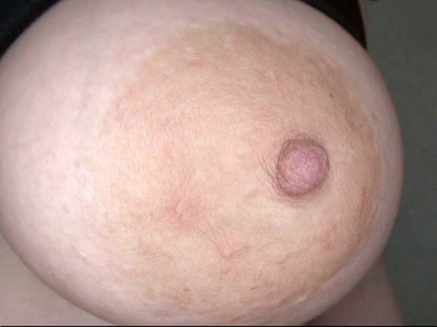 サンプル画像 10