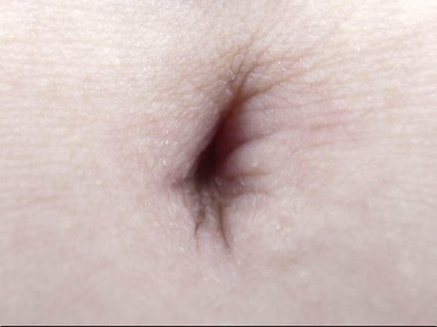 サンプル画像 15