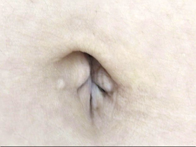 サンプル画像 16