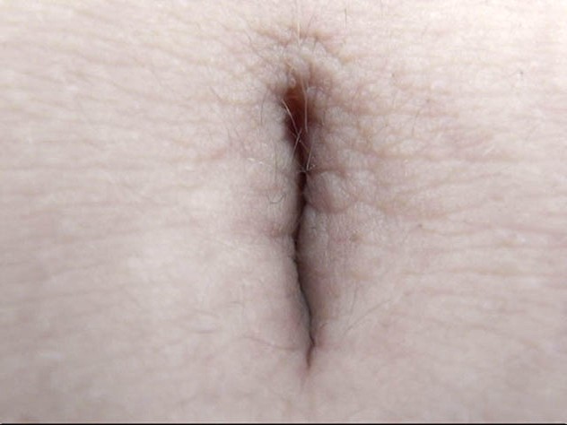 サンプル画像 20