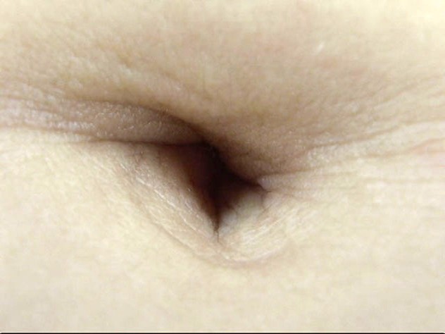 サンプル画像 21