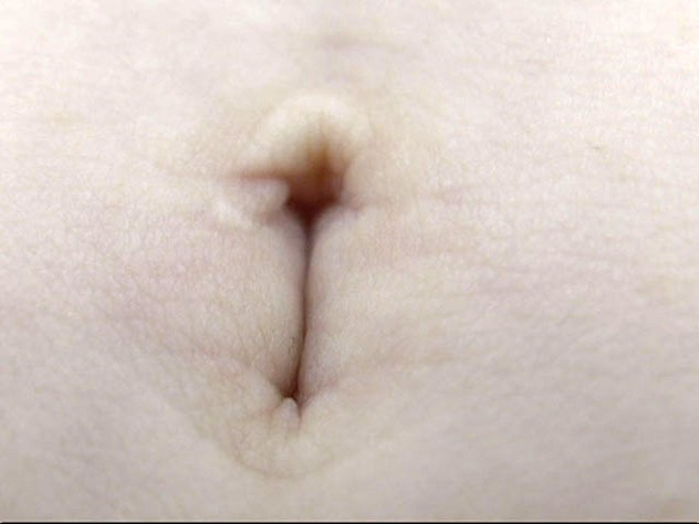 サンプル画像 5