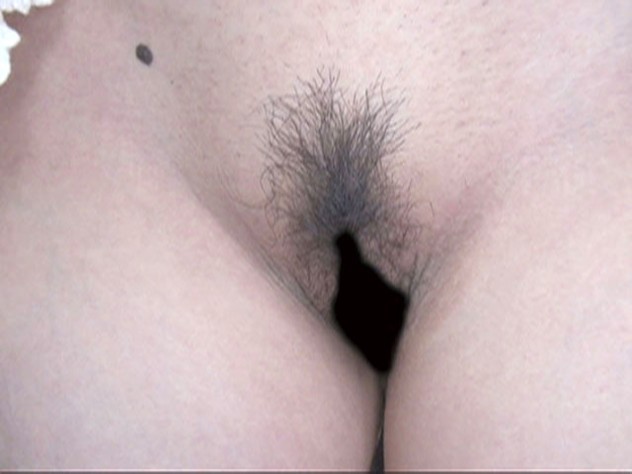 サンプル画像 11