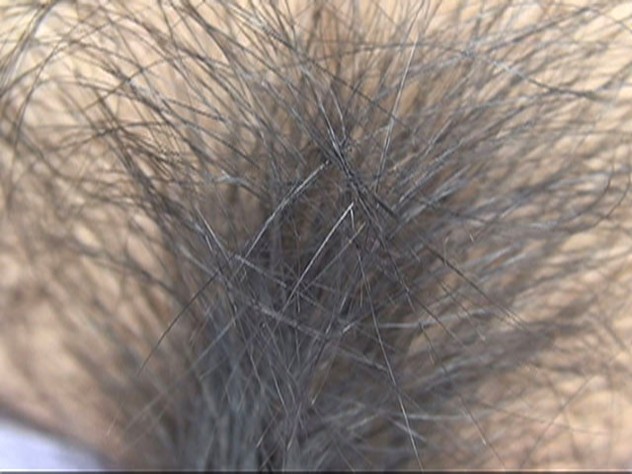 サンプル画像 13