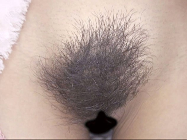 サンプル画像 14