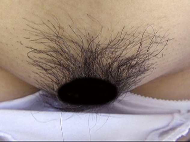 サンプル画像 17