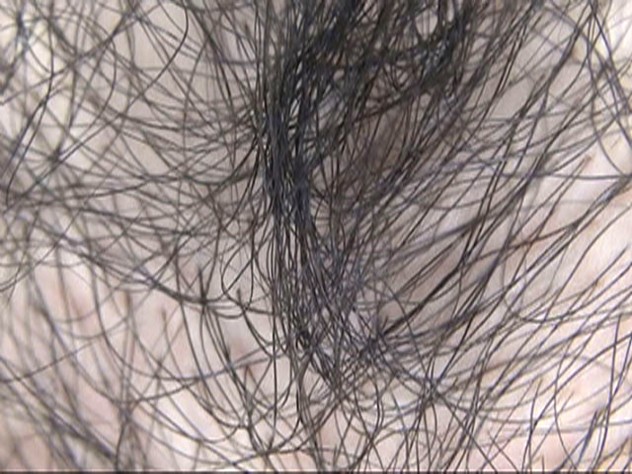 サンプル画像 18