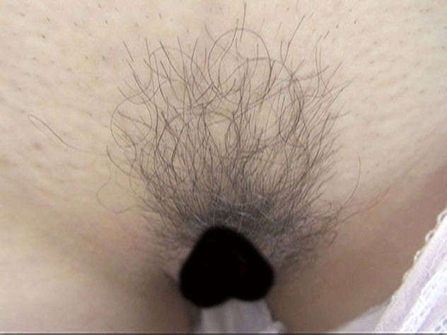 サンプル画像 19