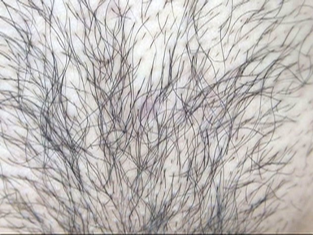 サンプル画像 4