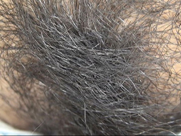 サンプル画像 5