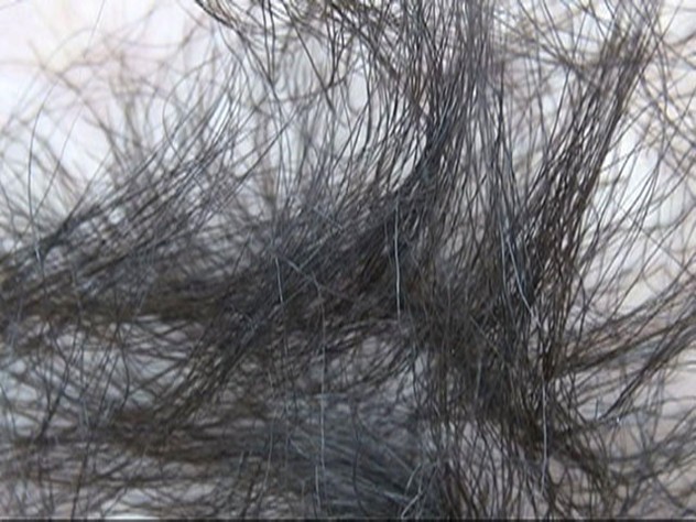 サンプル画像 6