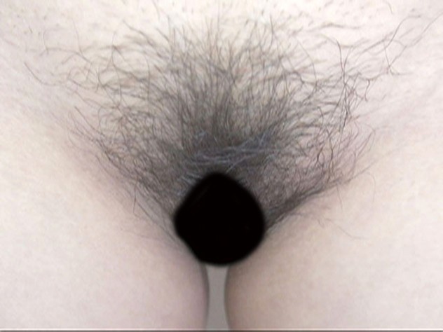 サンプル画像 7