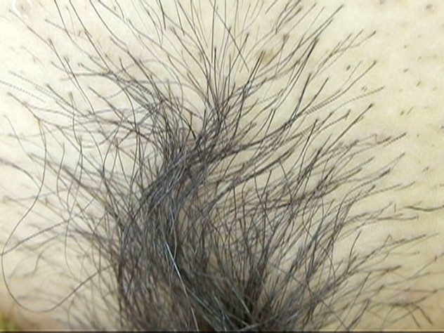 サンプル画像 8