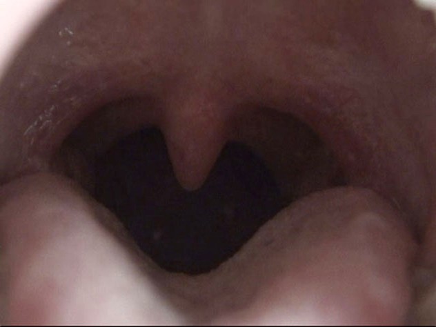 サンプル画像 9