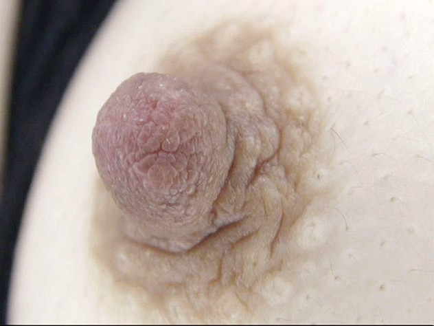 サンプル画像 11