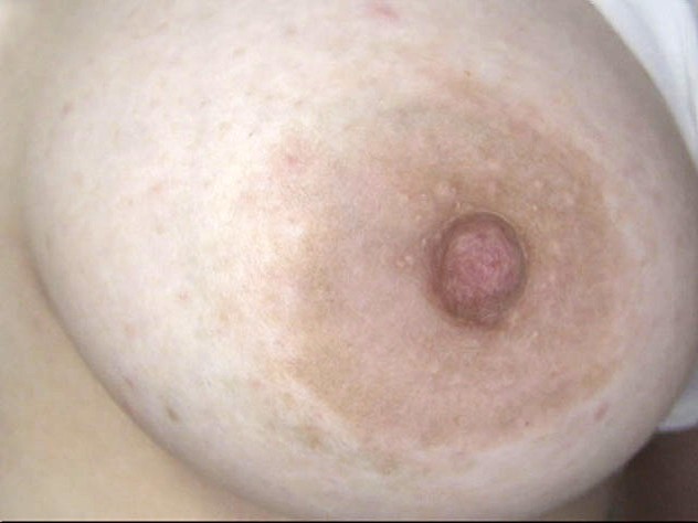 サンプル画像 12