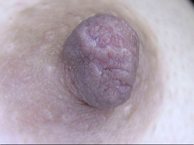 サンプル画像 14