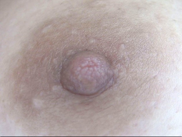 サンプル画像 16