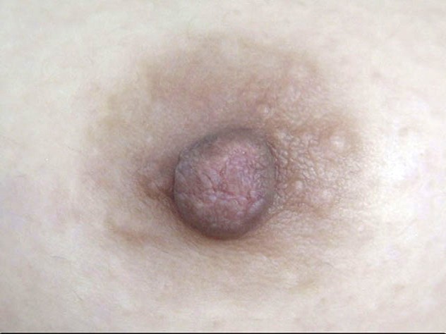 サンプル画像 17