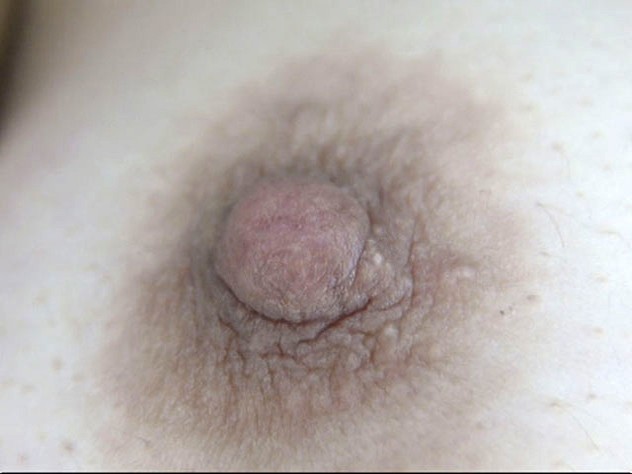 サンプル画像 21