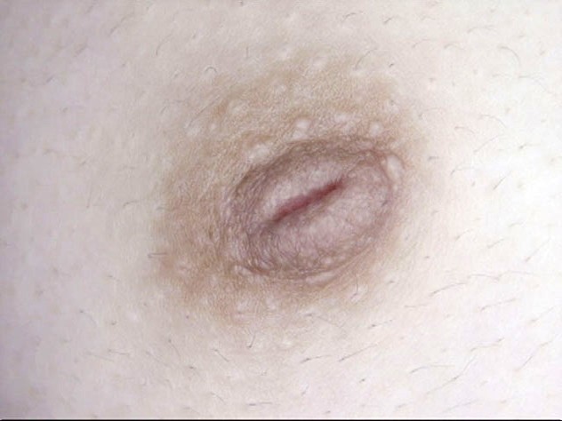 サンプル画像 4