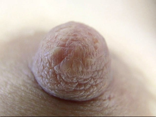 サンプル画像 5