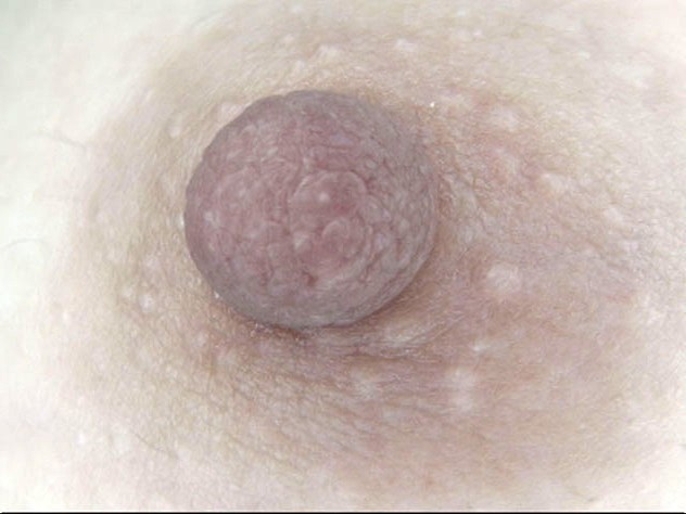 サンプル画像 7