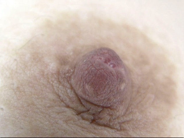 サンプル画像 8